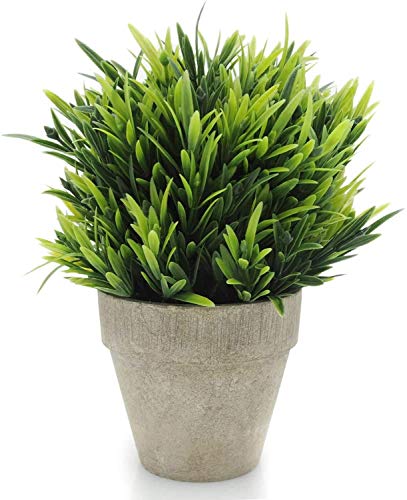 Velener Artificial Plants Fake Mini Potted Grass Arrangements for Home Decor (Green, Luohan)