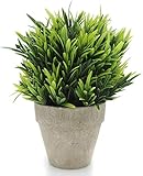 Velener Artificial Grass Potted Plant - Emerald Green Home Decor, Pumpkin Topiary Outdoor & Indoor Fall Plants Home Decor Accents, Coastal Kitchen, Countertops, Classroom, Farmhouse Christmas Decor