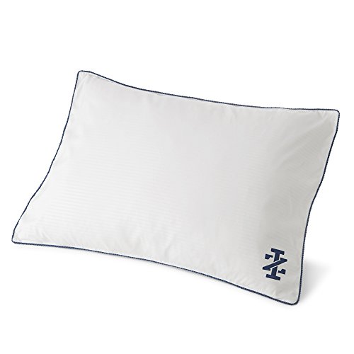 Book Cover IZOD Allergen/Anti-Microbial Standard White Garnetted Pillow, 100% Microfiber