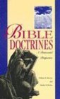 Bible Doctrines: A Pentecostal Perspective by William Menzies (1994-06-02)