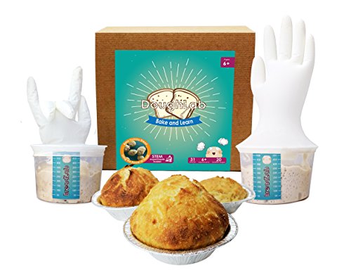 Book Cover Magical Microbes DoughLab STEM Kit: Bake and Learn