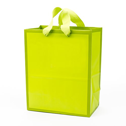 Hallmark Medium Gift Bag (Neon Green)