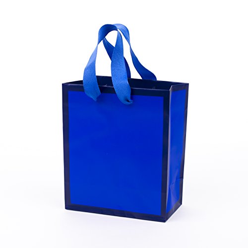 Hallmark Small Gift Bag (Navy Blue)