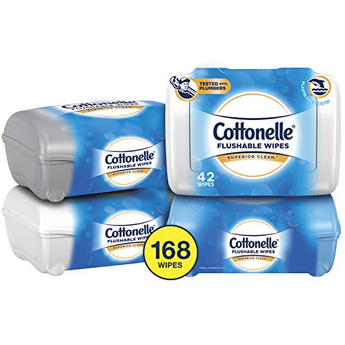 Book Cover Cottonelle FreshCare Flushable Wipes for Adults, Wet Wipes, Alcohol Free, 4 Packs of 42 Wet Wipes (168 Wet Wipes Total)