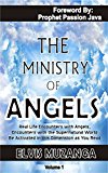 The Ministry of Angels: Real Life Encounters with Angels, Encounters with the Supernatural World , Be Activated in this Dimension as You Read.