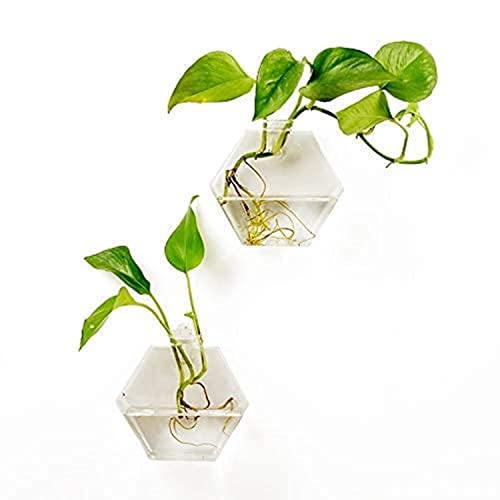 2 Packs Home Decor Wall Accessories Geometric Hexagonal Glass Vase Wall Sticked Planters Flower Pots/Water Planter Vase