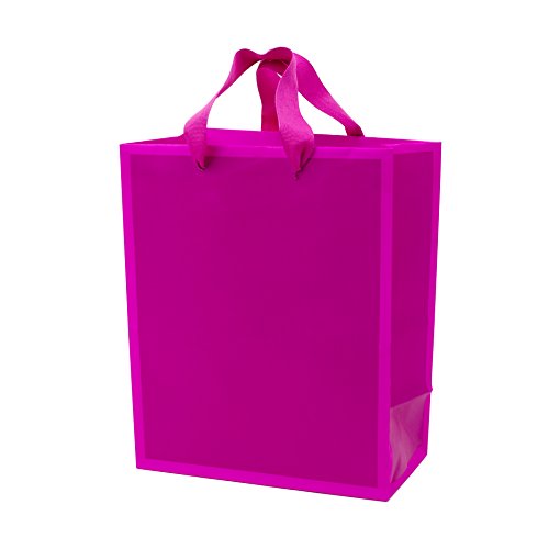 Hallmark Medium Gift Bag (Hot Pink)