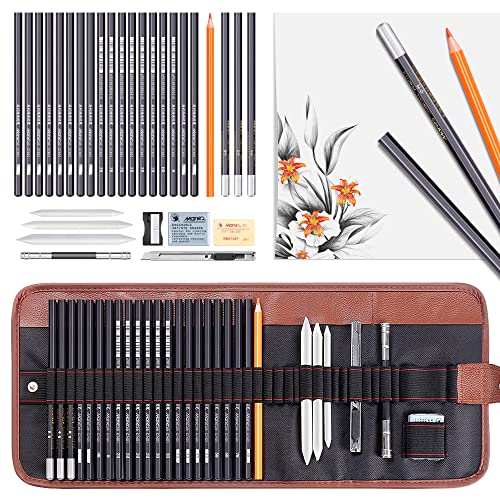 Dowswin 30 Pieces Sketch Pencils Charcoal Drawing Set Sketching Pencil Set of Graphite Pen Eraser Craft Sharpener Knife Pencil Extender Roll up Canvas Carry Pouch Pro Art Supplies for Beginners Artist