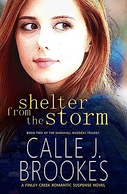Shelter from the Storm (Finley Creek Book 2)