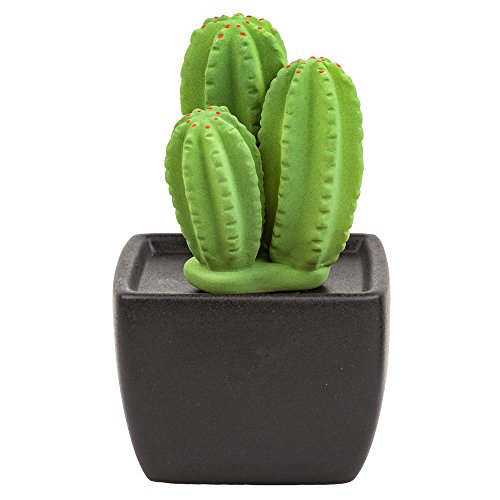 Book Cover Lively Breeze Tri Cactus, Non-Electric Ceramic Diffusers for Essential Oils and Aromatherapy Fragrance, White Ceramic Diffusers in Car or Desk Office Decor and Small Bathroom at Home, Black Vase