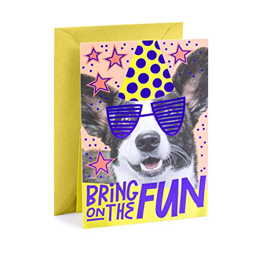 Hallmark Pop Up Birthday Card (Birthday Dog)