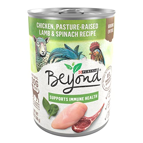Purina Beyond Grain Free, Natural Ground Entree Wet Dog Food, Grain Free Chicken, Lamb & Spinach Recipe - (12) 13 oz. Cans