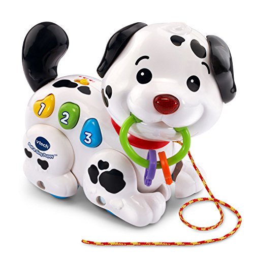 Book Cover VTech Pull and Sing Puppy