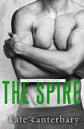 Book Cover The Spire (The Walsh Series Book 6)