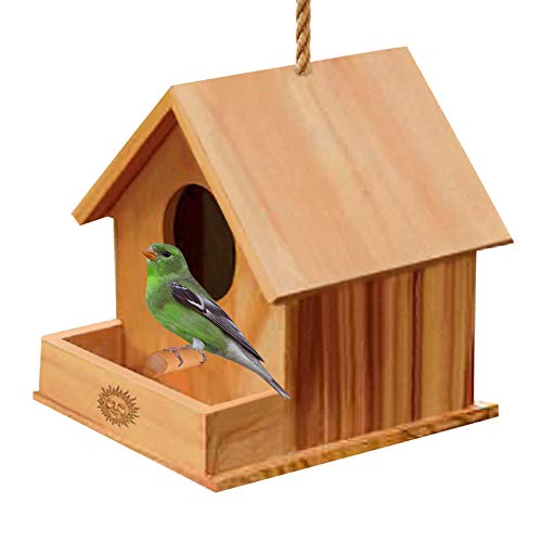 SunGrow DIY Paintable Wooden Bird & Hamster House with Porch, Attracts Small Birds, Craft for Kids, Home Decor, Beautiful Gift for All Ages, Hang Bird Feeder Indoors or Outdoors, 1 pc