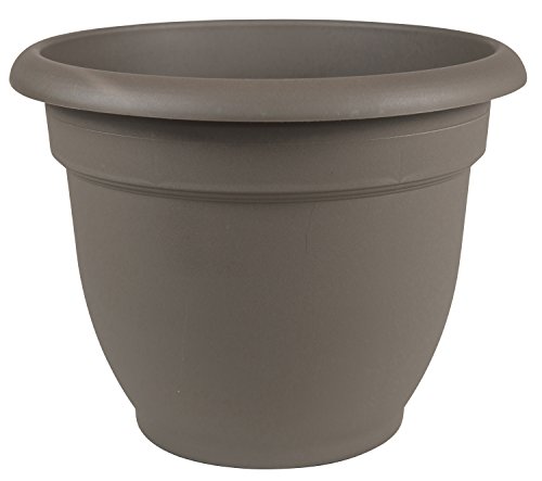 Bloem Ariana Self Watering Planter, 6", Peppercorn (AP0660), 6-Inch