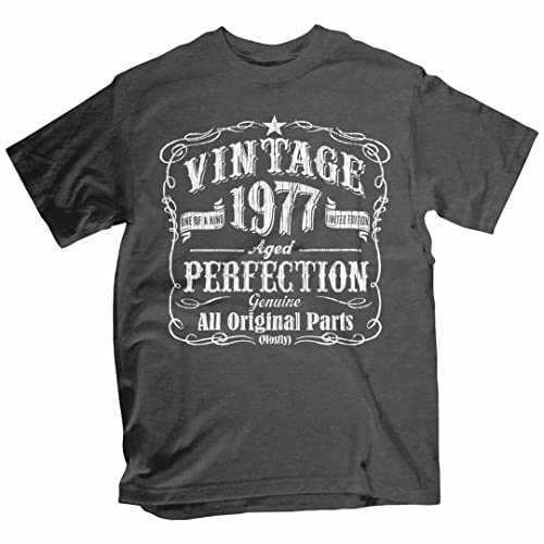 Feisty and Fabulous, Shirts for 45th Birthday for Him, 45th Birthday Shirts for Men, Gray 1977, 45 Year Old