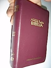 Cebuano Popular Version Bible, Ang Bag-Ong Maayong Balita Biblia / RCPV035GE / Burgundy Vinyl Softcover with Thumb Index / Double Column Text with Maps at the End