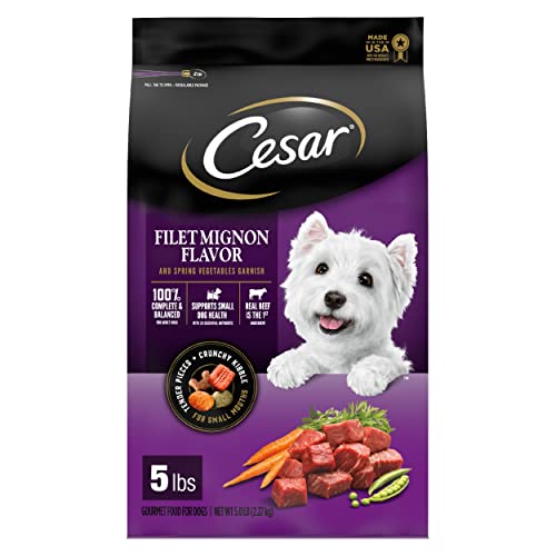 CESAR Small Breed Dry Dog Food Filet Mignon Flavor with Spring Vegetables Garnish Dog Kibble, 5 lb. Bag