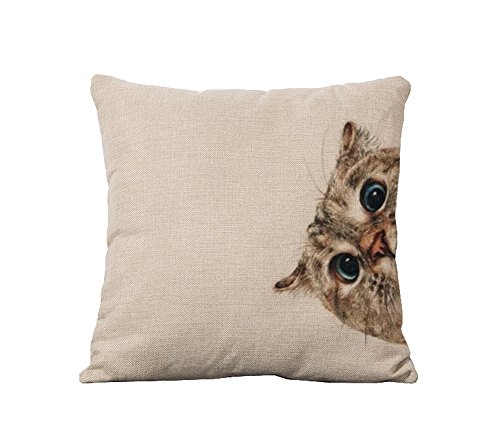 Crazy Cart Little Cat Cotton Linen Art Decorative Pillow Covers 18" 18"