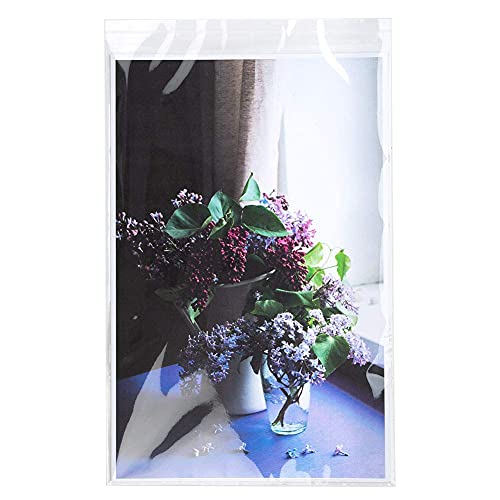 11 7/16" x 17 1/4" + Flap, Crystal Clear Bags (100 Pieces