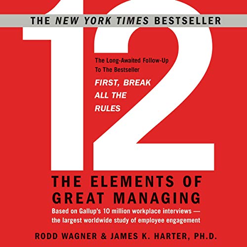 12: The Elements of Great Managing