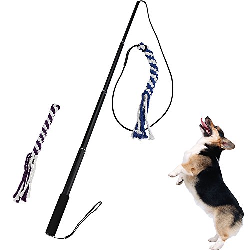 Book Cover Interactive Dog Tug Toy, ANG Extendable Dog Teaser Wand with 2 Cotton Rope Dog Toy Outdoor Playing for Pulling, Chasing, Chewing, Teasing, Training(Small)