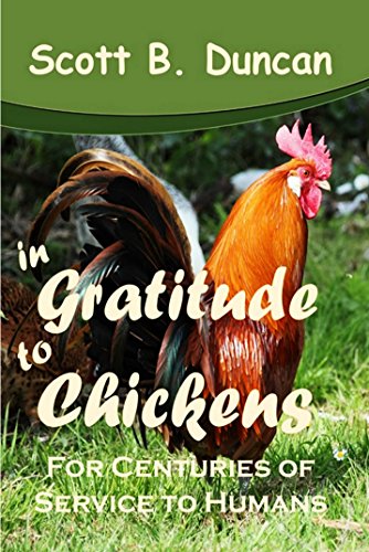 In Gratitude to Chickens: For Centuries Of Service To Humans