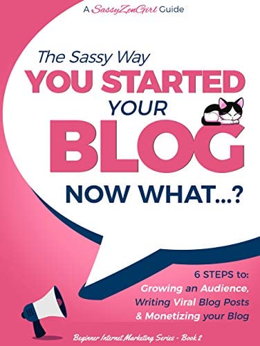 Book Cover You Started a Blog - Now What....?: 6 Steps to Growing an Audience, Writing Viral Blog Posts & Monetizing your Blog (Beginner Internet Marketing Series Book 2)
