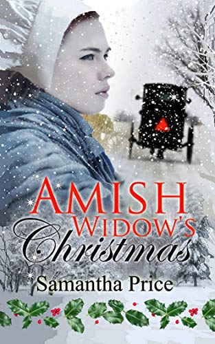 Amish Widow's Christmas: Inspirational Amish Romance (Expectant Amish Widows Book 12)
