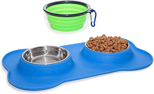 Small Dog Bowls Set of 2 Stainless Steel Bowls with Non-Skid & No Spill Silicone Blue Stand for Small Dogs Cats Puppy & Collapsible Travel Pet Bowl