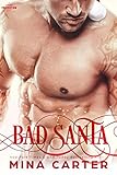 Bad Santa (Paranormal Protection Agency: Santa Elves Book 4)
