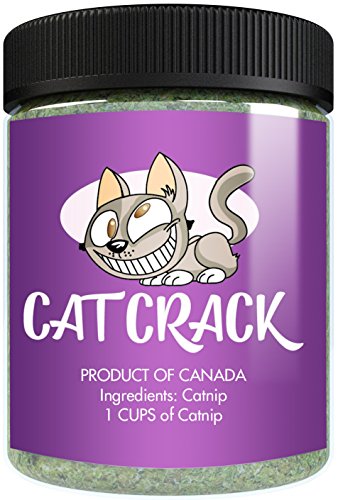 Book Cover Cat Crack Catnip, Premium Blend Safe for Cats, Infused with Maximum Potency Your Kitty is Sure to Go Crazy for (1 Cup)