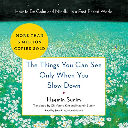 Book Cover The Things You Can See Only When You Slow Down: How to Be Calm and Mindful in a Fast-Paced World