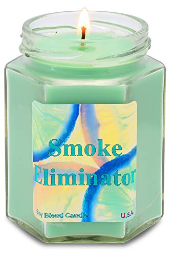 Book Cover Smoke Eliminator Soy Candle | Tobacco Cannabis |
