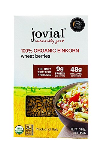 Jovial Einkorn Wheat Berries | 100% Organic Einkorn Wheat Berries | High Protein | Non-GMO | USDA Certified Organic | Product of Italy | 16 oz (3 Pack)