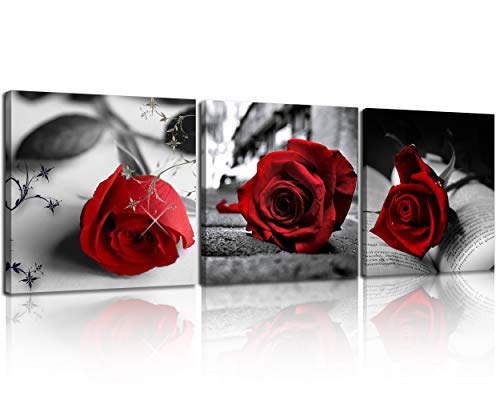 Book Cover NAN Wind Canvas Print 3 Pcs Black and White Red Rose Canvas Art Painting Abstract Wall Art Decorations Flower Picture on Canvas for Home Decor Stretched and Framed