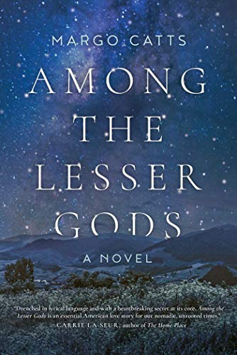 Book Cover Among the Lesser Gods: A Novel