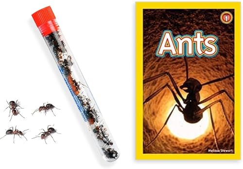 Live Ant Farm Ants (1 Tube of Ants) Plus Ant Book- Bundle