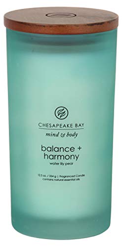 Book Cover Chesapeake Bay Candle PT31921 Scented Candle, Balance + Harmony (Water Lily Pear), Large