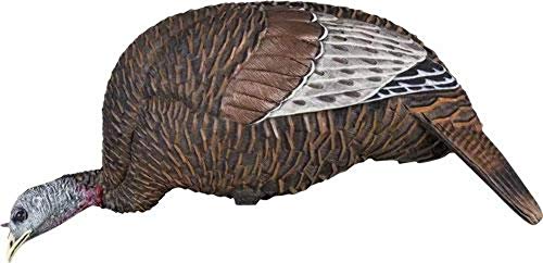 Book Cover FlexTone Unisex's FLXDY314 Hunting Game Calls Turkey, Multi, One size