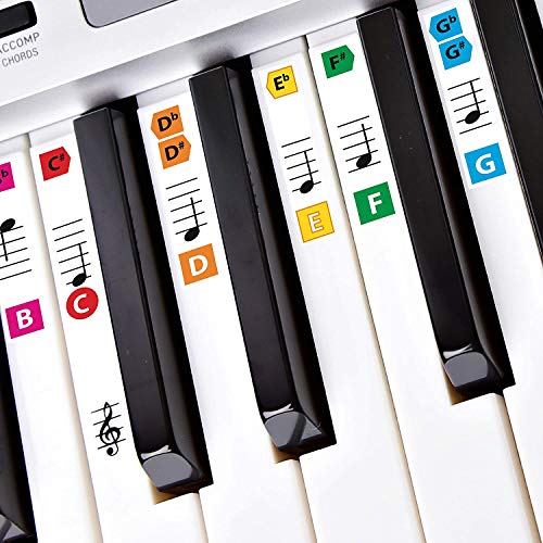 Book Cover Best Adhesive Piano Key Note Keyboard Stickers for Adults & Children's Lessons, FREE E-BOOK, Great for Beginners Sheet Music Books, Recommended by Teachers to Learn to Play Keys & Notes Faster