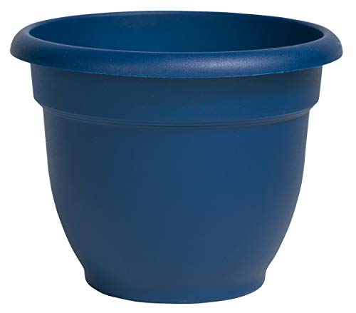 Bloem Ariana Self Watering Planter, 10", Deep Sea (AP1031), Inch