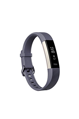 Book Cover Fitbit Alta HR, Blue/Gray, Small (US Version)