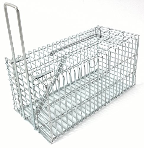 Trap Top - Quality Rat Trap , Rats and Mice Live Humane Cage Trap , One-Door small animal Rodents Catcher, Just Catch & Release..