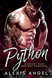 Python: A Secret Baby Bad Boy Romance