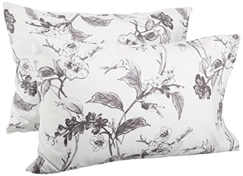 Book Cover Amazon Brand â€“ Pinzon Signature 190-Gram Cotton Heavyweight Velvet Flannel Pillowcases - Standard, Floral Graphite