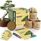 New Bonsai Starter Kit - Gardening Gifts for Women & Men - Unique DIY Hobbies, Crafts Hobby Kits for Adults - Unusual Easter Gift Ideas for Garden Plant Lovers, or Gardener Mother (Bonsai)