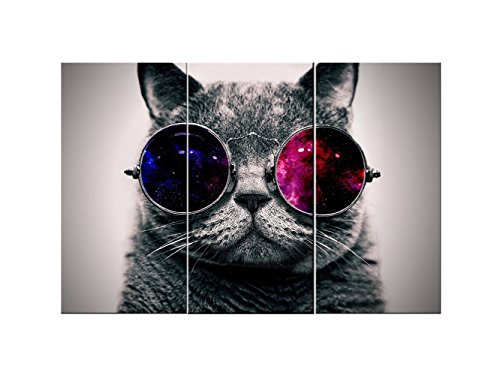 Book Cover Canvas Wall Art 3 Panels Cut Cat with Glasses Wall Art Canvas Prints Animal Head Pictures Paintings on Canvas Stretched and Framed for Living Room Bedroom Home Decoration