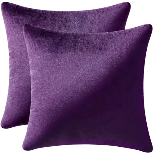 MIULEE Velvet Throw Pillow Covers 18x18 Inch, Pack of 2 - Eggplant Purple, Super Soft Decorative Square Cushion Cases Modern Luxury Spring Home Decor for Sofa,Couch,Bed,Chair